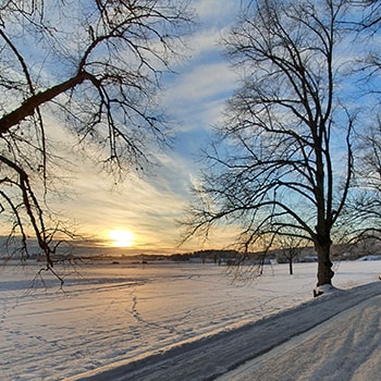 Vinterlandskap i solnedgång
