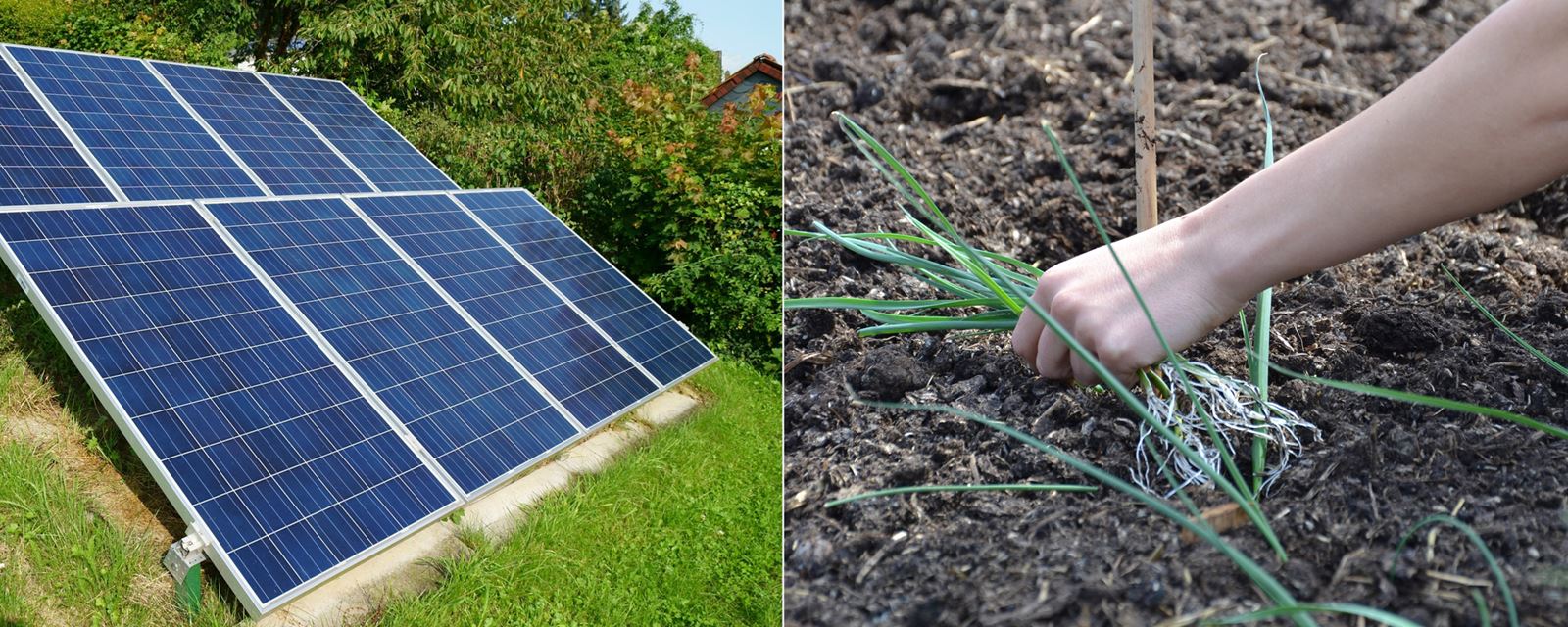 Omställning till solenergi och till ekologisk odling - framåtanda.