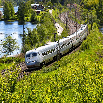 Ett SJ-tåg kommer åkandes i grönskande natur.