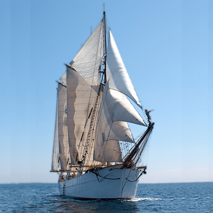 Skutan Skonaren Ingo till havs