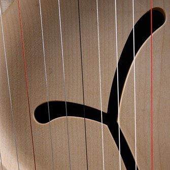 Y-formad hålighet i ett träinstrument med strängar.