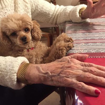 I famnen på den äldre damen sitter en lite hund.