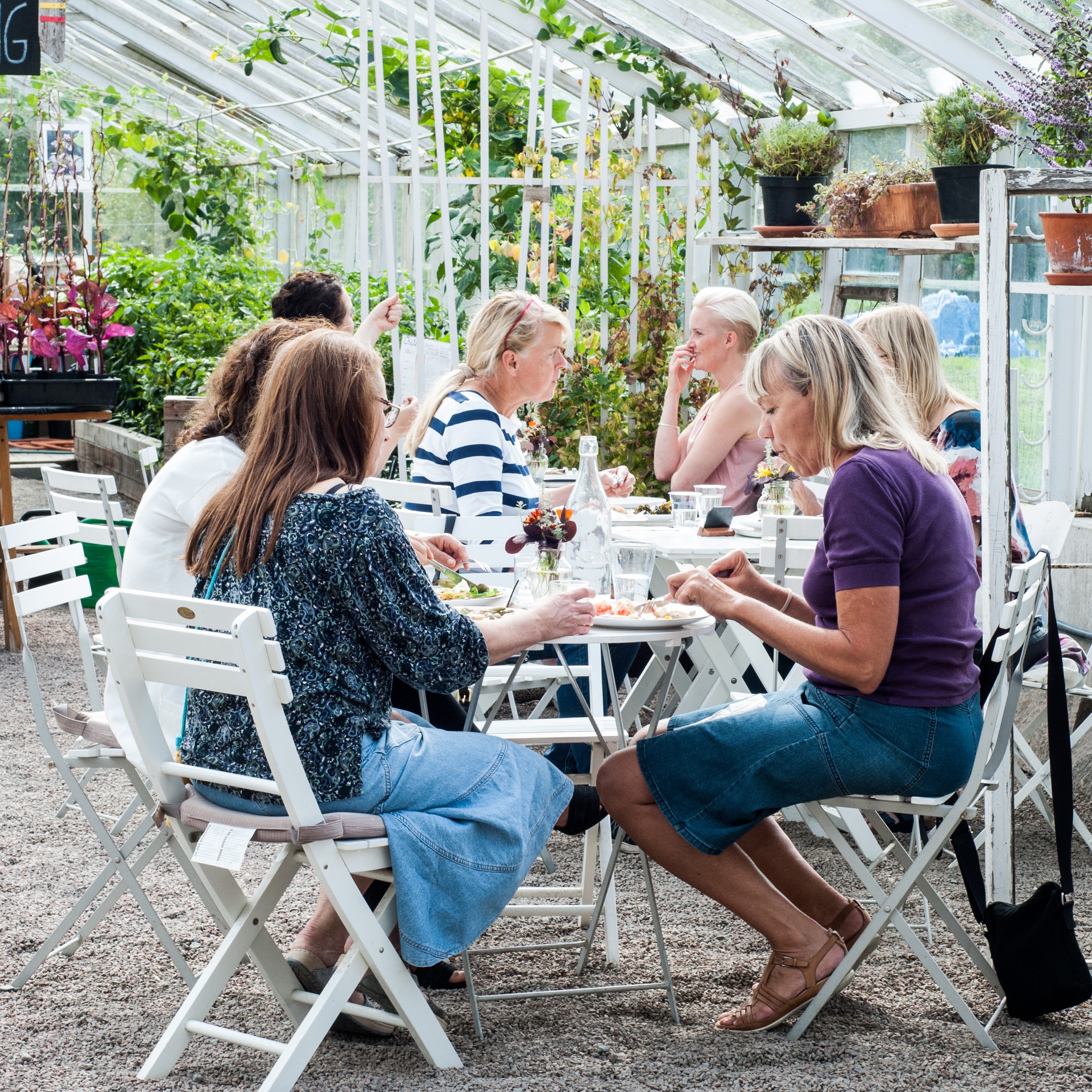 Fika i växthuet hos Lärjeåns trädgårdar.