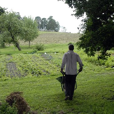 Ut med skottkärran och jobba på i trädgården bland alla grödor.