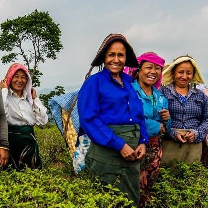 Fyra glada kvinnor med färgglada kläder tittar in i kameran.