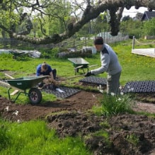 Här jobbas det i trädgården, skottkärran står framme och det är grönska åt alla håll.